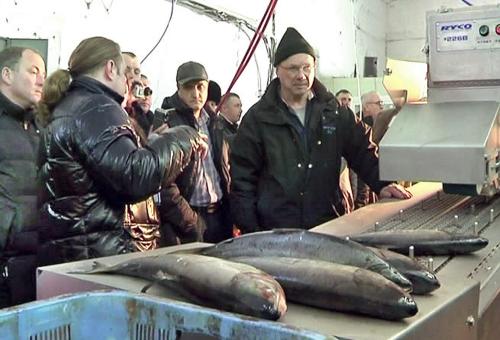 На совместной презентации RYCO и Старко