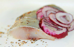 Созреватели для сельди весенне-летнего периода вылова