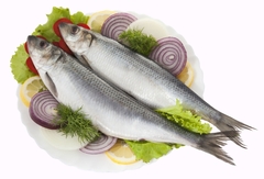 Технология пресервов из сельди: 100 суток хранения при 0°.. +5°С